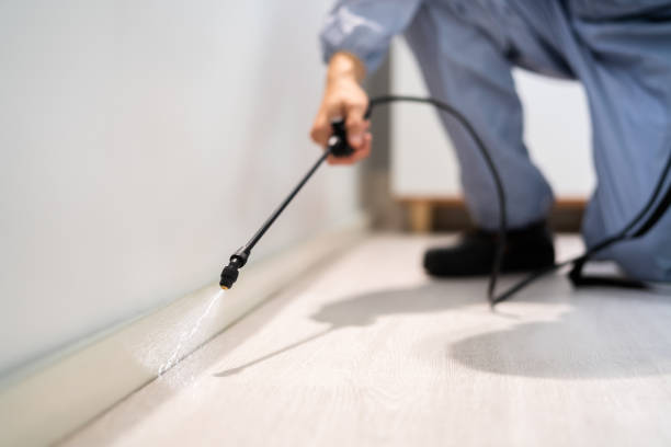 Licensed Termite Control service in Richton, MS - Nex Pest Control