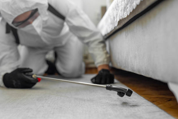 Professional Termite Control technician working in Richton, MS