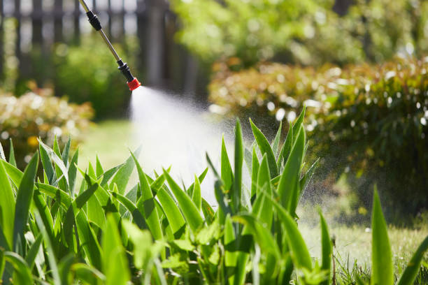 24/7 Emergency Termite Control experts in Richton, MS