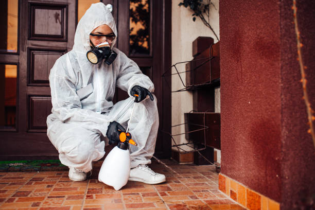 Reliable Termite Control contractor in Richton, MS by Nex Pest Control