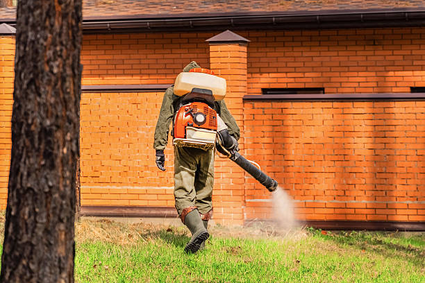 Top rated local Termite Control specialists in Richton, MS